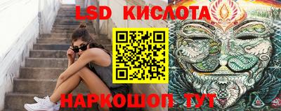 спиды Новозыбков